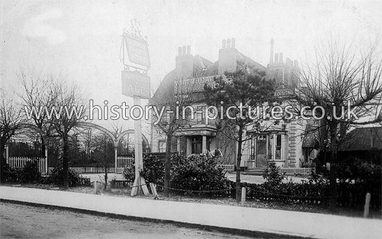 The Bald Faced Stag, Buckhurst Hill, Essex. c.1906.